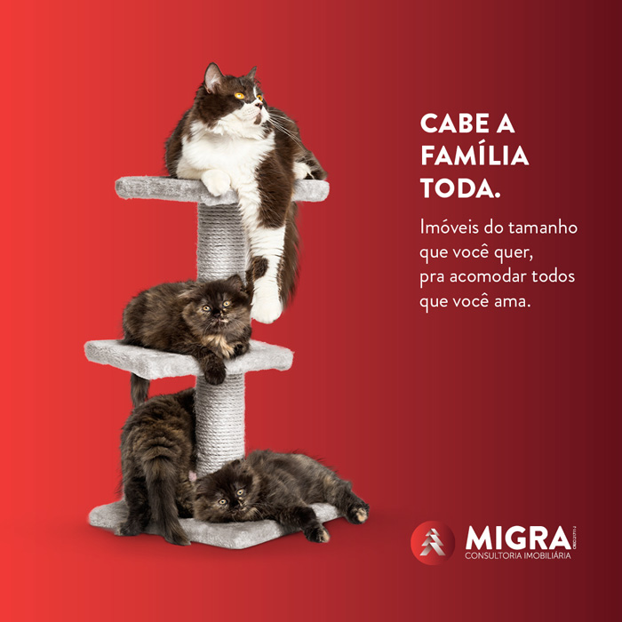 Migra - Institucional - Gatos